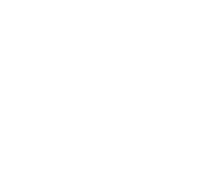 Pirrotta Consulting LLC - Digital Strategy and Vision